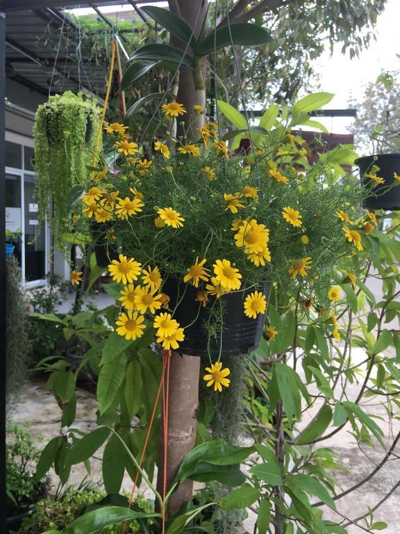 The Rhea Hotell Udon Thani Eksteriør bilde